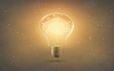 RECORDING: State of the (Insight) Nation –  A review of 2025 and some predictions for 2026