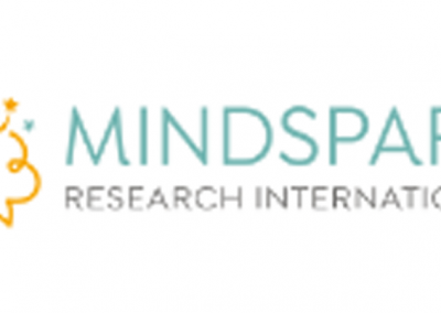 10 Golden Rules of Global Research