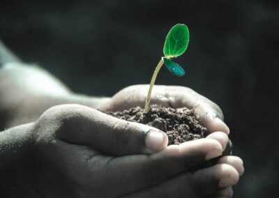 Customer Insight as a tool for business growth