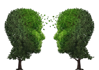 Rethinking Sustainable Packaging in FMCG